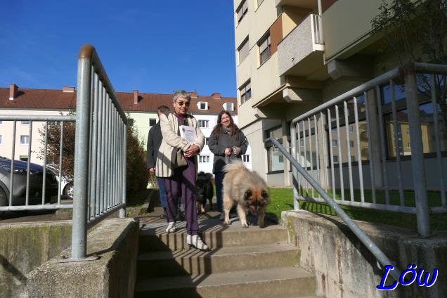 1.11.2024 - Wieder in der Stadt